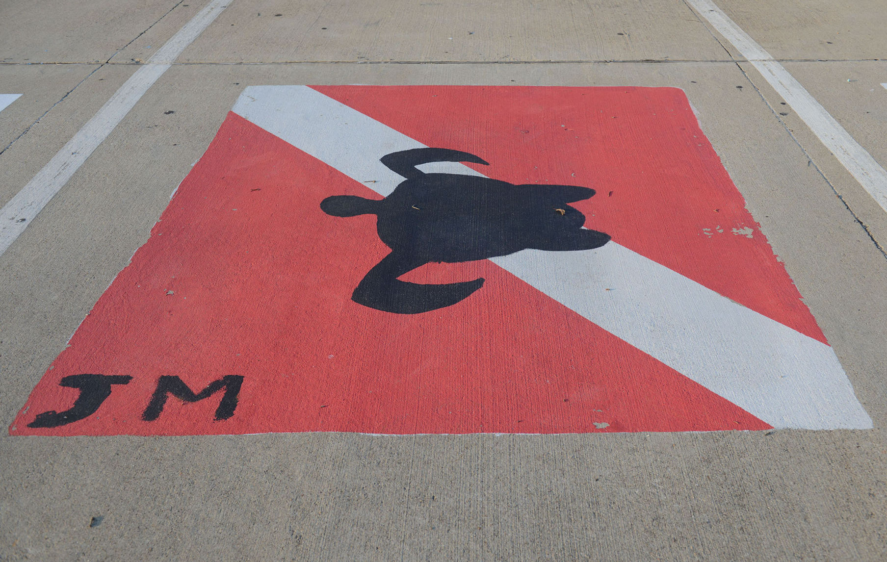 A&M Consolidated HS painted parking spots